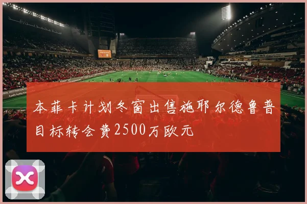 本菲卡计划冬窗出售施耶尔德鲁普目标转会费2500万欧元