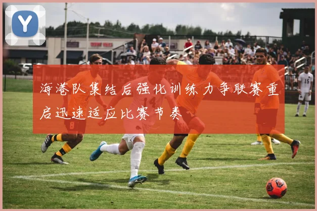 海港队集结后强化训练力争联赛重启迅速适应比赛节奏