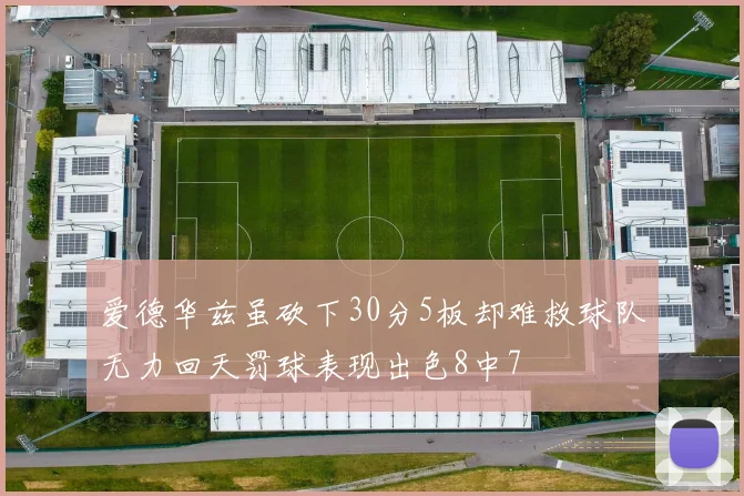 爱德华兹虽砍下30分5板却难救球队无力回天罚球表现出色8中7