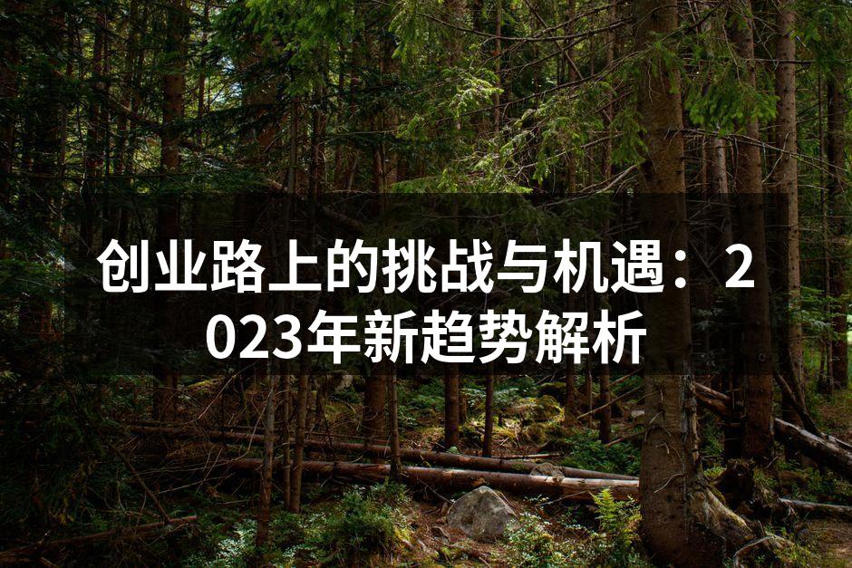 创业路上的挑战与机遇：2023年新趋势解析